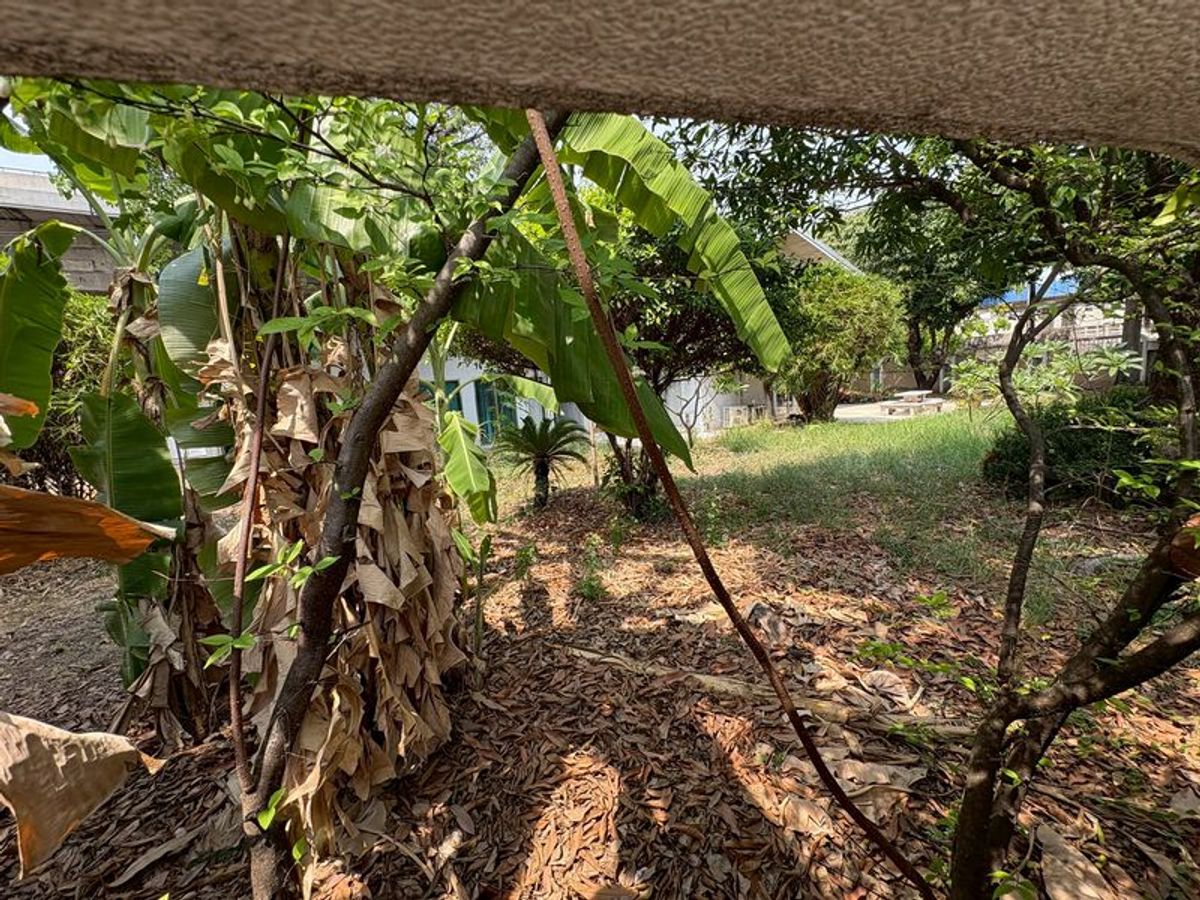 ปล่อยเช่าที่ดินพระราม 9 ซอย 46 พื้นที่ 1 งาน 60 ตารางวา ที่ดินติดถนนพระราม 9