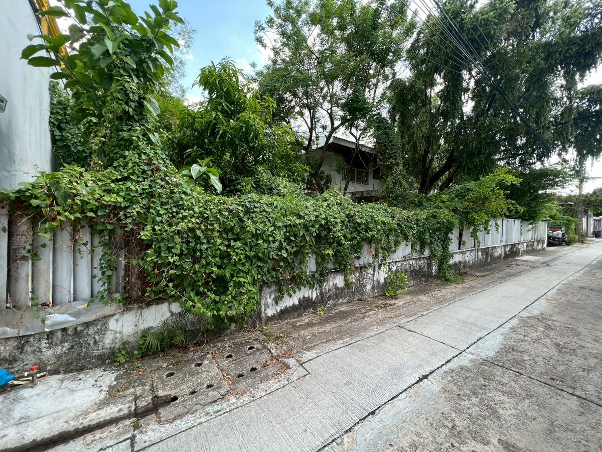 ปล่อย ขาย/เช่า ที่ดินพร้อมสิ่งปลูกสร้าง 1 งาน 55 ตารางวา ใกล้รถไฟฟ้าใต้ดิน