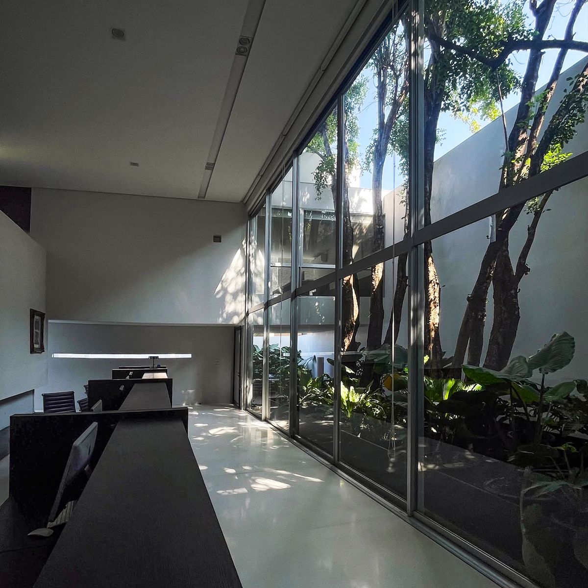 ขายโฮมออฟฟิศ 3 ชั้น พัฒนาการ 58 มีบรรยากาศสวนส่วนตัวในอาคาร