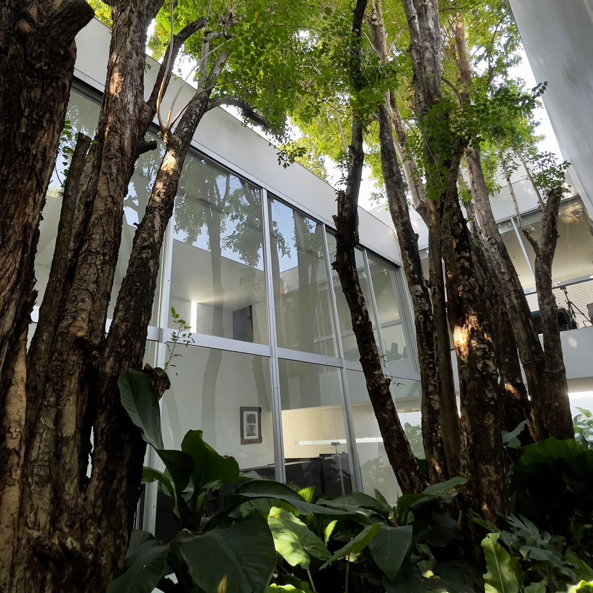 ขายโฮมออฟฟิศ 3 ชั้น พัฒนาการ 58 มีบรรยากาศสวนส่วนตัวในอาคาร