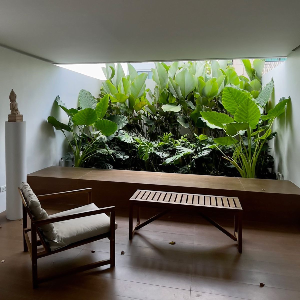 ขายโฮมออฟฟิศ 3 ชั้น พัฒนาการ 58 มีบรรยากาศสวนส่วนตัวในอาคาร