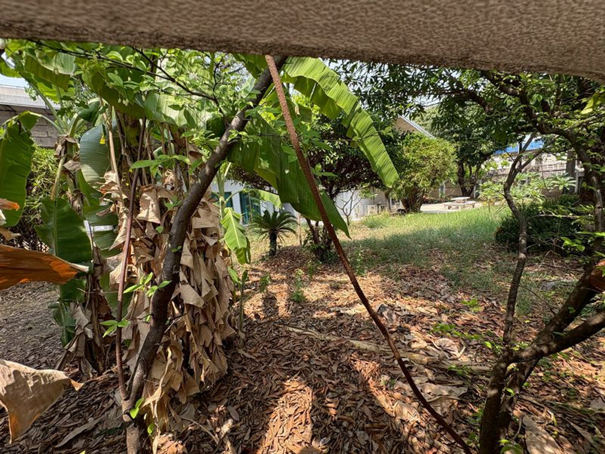 ปล่อยเช่าที่ดินพระราม 9 ซอย 46 พื้นที่ 1 งาน 60 ตารางวา ที่ดินติดถนนพระราม 9